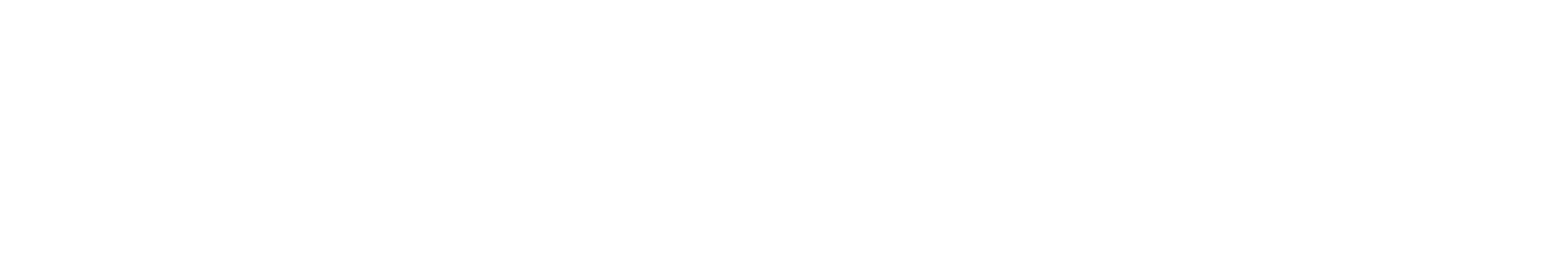 Irene Bursese INOVIA - Executive, Business & Life Coach