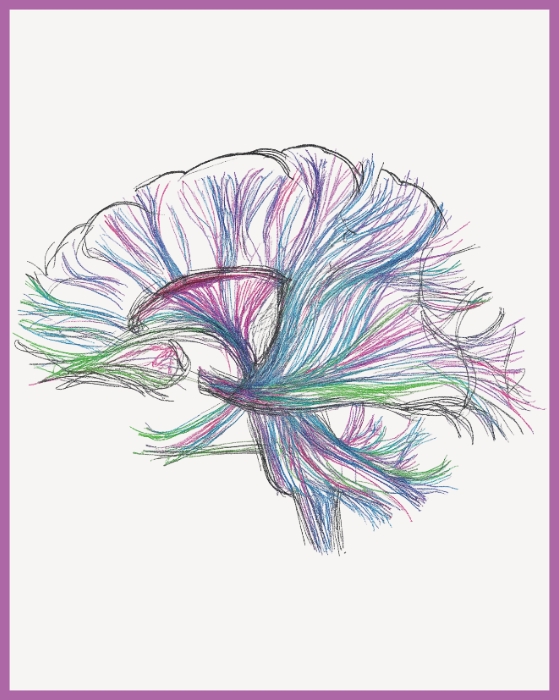 Neuroscienze-coaching-servizi-Irene-Bursese-Inovia